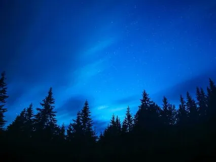 Sleep Talk Down To Fall Asleep In Minutes