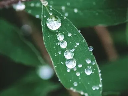 Sleep Tight To The Gentle Sound Of Rain Drops