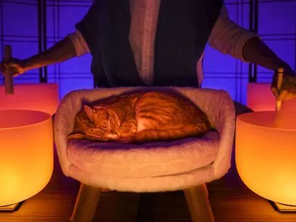 Sleep Timer Sound Bath