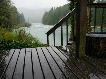 Sleep To Nature Sounds - Rain Fall (Medium)