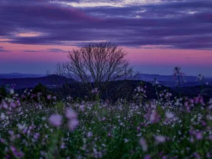 Sleep Tones For Stress And Insomnia Relief