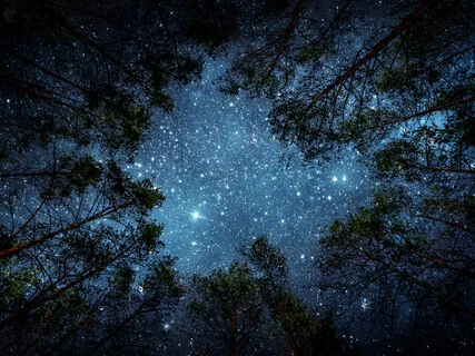 Calming Sleep Visualisation