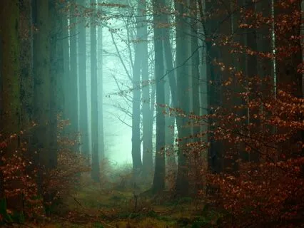 Sleep Visualization Journey