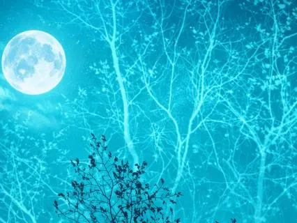 Sleep: Waking In The Middle Of The Night | Wide Awake Club