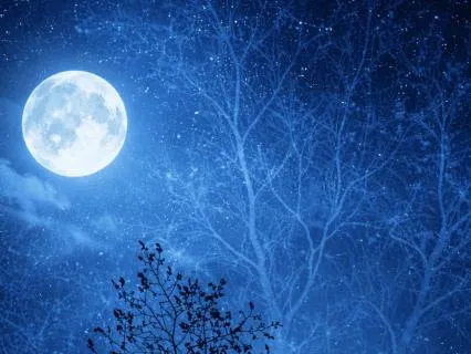 Sleep: Waking Up In The Early Hours