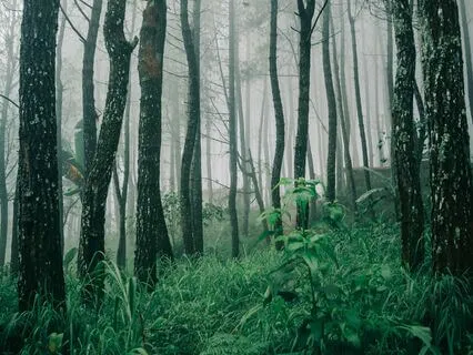 Sleep Well: Anxiety Reduction