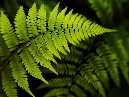 Sleep Well Eat Better -  Make Healthier Eating Choices While You Have A Good Night's Sleep