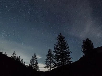 Sleep Well - Peace In The Countryside