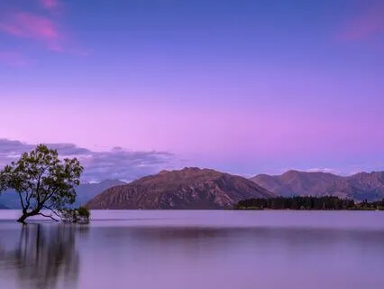 Sleep Well Yoga Nidra For A Deep Rest