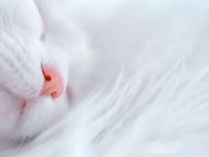 Sleep Well (With Streamsounds)