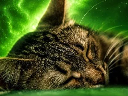 Sleep Whilst You Sleep: Sleep All Night