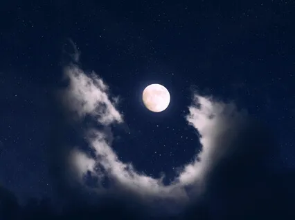 Sleep, With Angel's Singing Bowls In The Forest