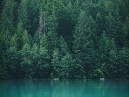 Sleep With Loving Kindness - Metta