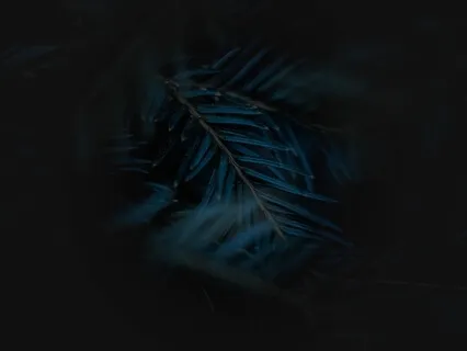 Sleep With Loving Kindness (Theta Binaural Beats)