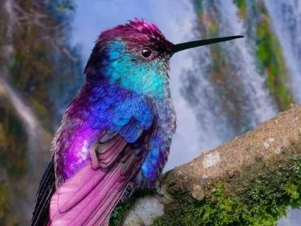 Sleep With Nature – Simply Nature | 8 Hours Deep Sleep