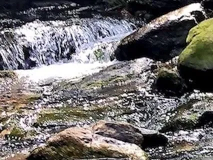 Sleep With Nature Sounds: Mountain Stream