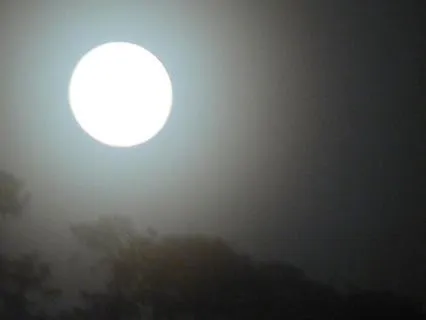 Sleep With Peace - 2 Hours