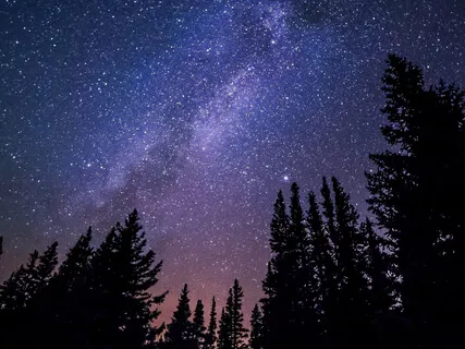 Sleep With Progressive Muscle Relaxation