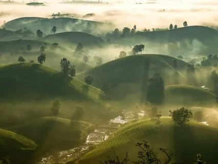 Sleep With The Saints: St. Dymphna