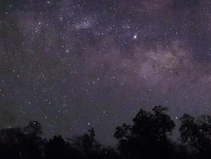 Sleep Without Overthinking | Guided Deep Body Relaxation