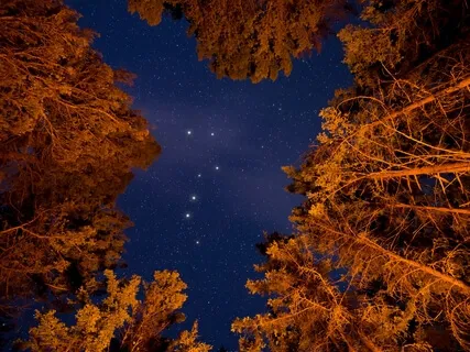 Sleep Yoga Nidra For Insomnia