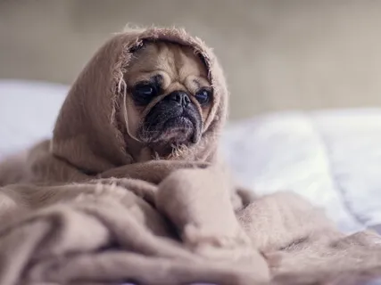 Sleepiness As An Ally- Early Morning 