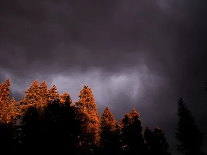 Sleeping Amongst The Clouds