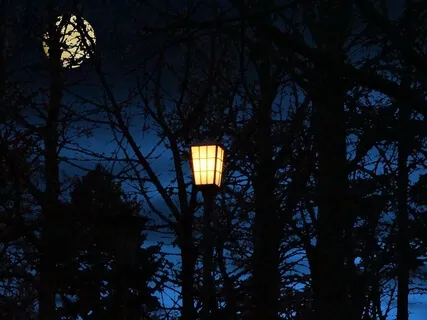 Sleeping Better - Day 3