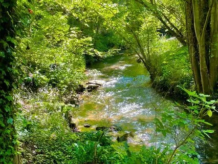 Sleeping By The Stream