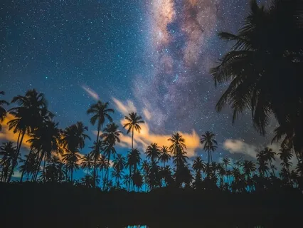 Sleeping In Paradise