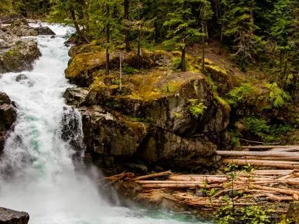 Sleeping In Your Sanctuary