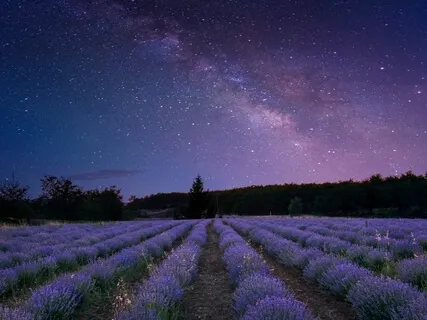 Sleeping Music For Deep Sleeping [ Fall Asleep ] Delta + Theta