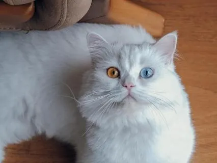 Let Go & Sleep Deep: Kiss The Rain Healing Kalimba