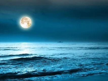 Fall Asleep On A Beach Under The Stars