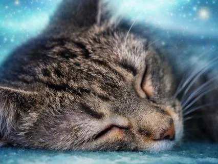 Sleeping Soul - Sleep Music | Deep Rest Ambient Soundscape