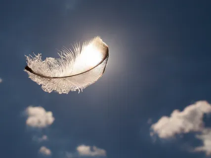 Sleeping With The Angels