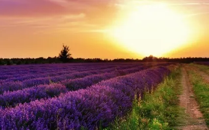 Sleepscape Meditation For Living In Abundance