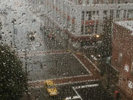 Sleepscapes: Gentle Rainfall