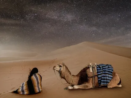 SleepTime, Yes, You!