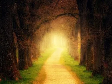 Sleepy Adventures #2: The Wisdom Of Me (My Spiritual Space)