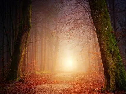 Sleepy Adventures #1: The Wisdom Of The Winding Road