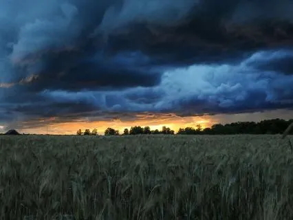 Sleepy Chakra Journey: Guided Experience & Rain (8 Hr)