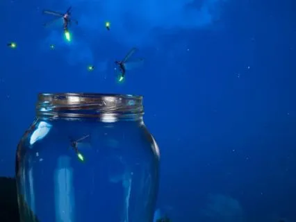 Sleepy Fireflies: A Calm Bedtime Meditation For Kids