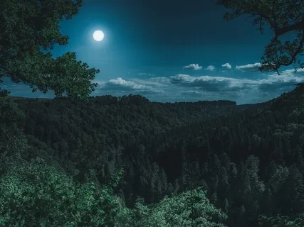 Good Night's Sleep Music