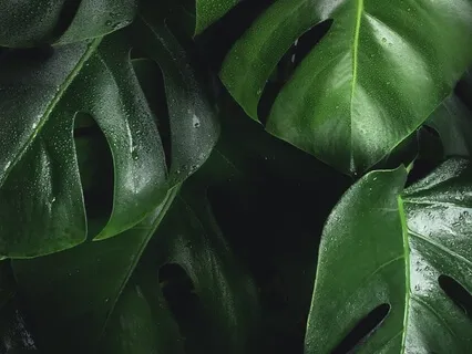 Sleepy Handpan With Summer Rain (Eb Minor)