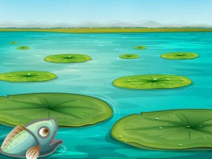 Sleepy Lily Pad | Children's Sleep Story