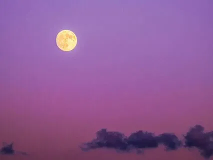 Sleepy Moon | The Calm Sleep Lofi Beats Collection