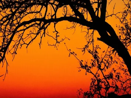 Sleepy Music - 528Hz