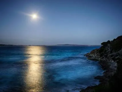 Sleepy Ocean | Instant Deep Sleep