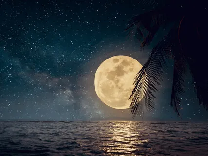 Sleepy Ocean Visualization